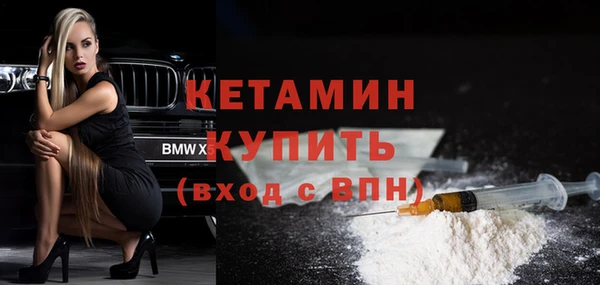 хмурый Гусь-Хрустальный
