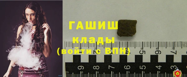 хмурый Гусь-Хрустальный