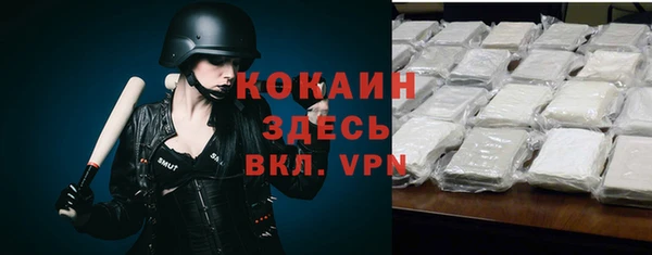 гидра Гусев