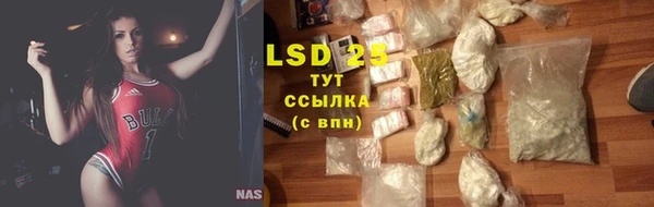 хмурый Гусь-Хрустальный