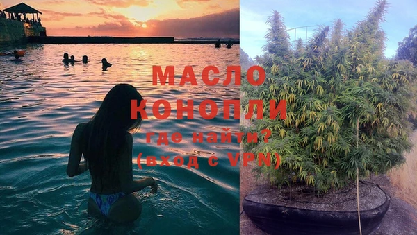 гидра Гусев