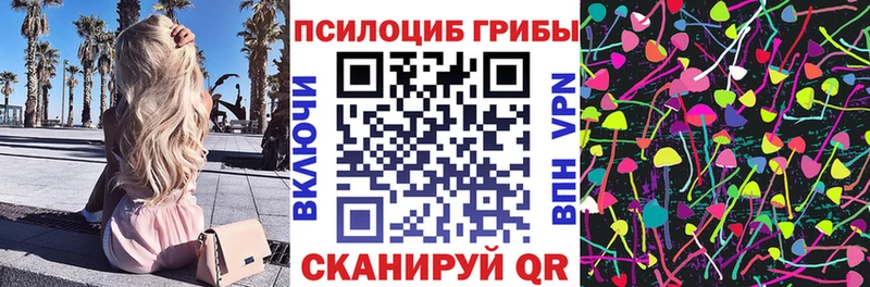 OMG ONION  Новопавловск  Псилоцибиновые грибы мицелий 